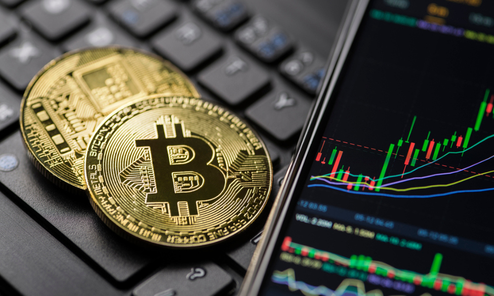 Who Owns the Most Bitcoin and How They Built Their Wealth